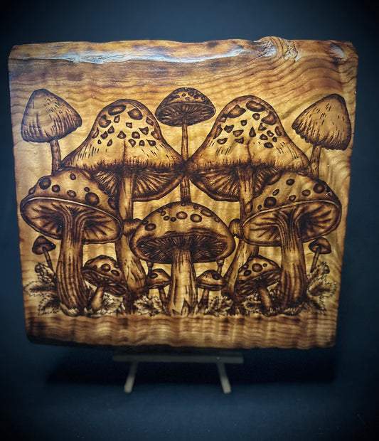 Mushroom Forrest